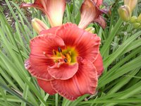 20160719_100821.jpg