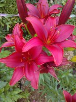 WP_001287-min.jpg