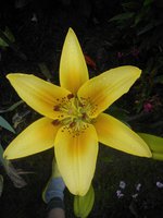 2016-07-10 09-55-49.JPG