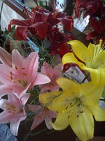 2016-07-15 06-52-37-min.JPG