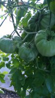 WP_20160720_029.jpg