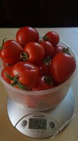 Русский вкусный пересорт.jpeg