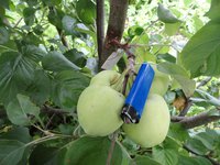 DSC05105-01.jpg