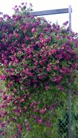 WP_20160721_017.jpg