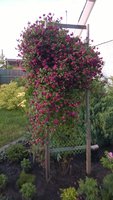 WP_20160721_018.jpg