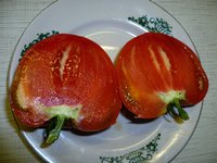 Большая Малина в разрезе.jpg