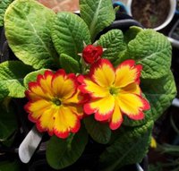2012-01-15 14.45.46.jpg