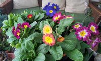 2012-01-28 14.45.49.jpg