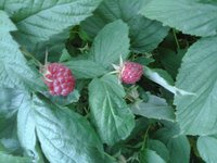 20160719_102238.jpg