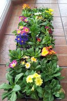 2012-01-28 14.51.48.jpg
