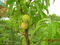 DSCN1307.JPG