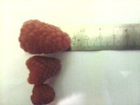 20160715_233638.jpg