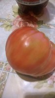 WP_20160725_001.jpg