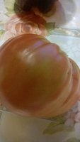 WP_20160725_002.jpg