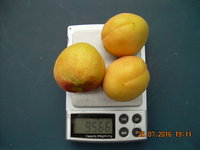 DSCN1295.JPG