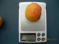 DSCN1296.JPG