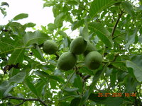 DSCN1289.JPG