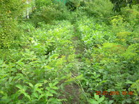 DSCN1290.JPG