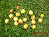 DSCN1302.JPG