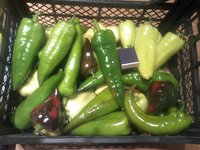 20160727_211638.jpg