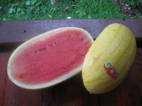 IMG_4207.jpg