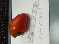 2016-07-29 13-07-20.JPG