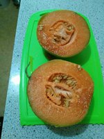 IMG_20160728_185733.jpg