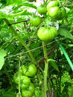IMG_1082.JPG