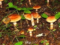 IMG_1066-1.jpg