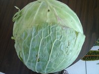 20160802_115543.jpg