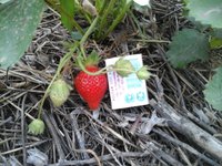 20160719_103117.jpg