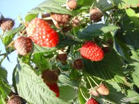 20160804_074902.jpg