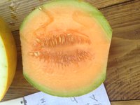 image.jpeg