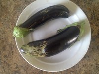 IMG_20160807_141122.jpg