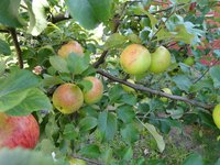 DSC05166-01.jpg