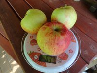 DSC05179-01.jpg