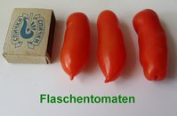 Flaschentomaten.jpg