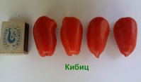 Кибиц 2.jpg