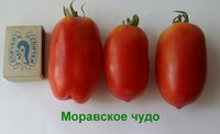 Моравское чудо 2.jpg