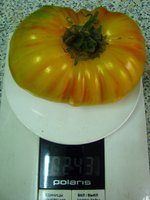 IMG_1178.JPG