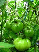 IMG_1160.JPG