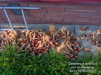 P60809-183615.jpg