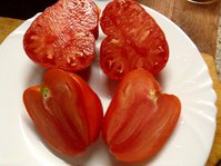 Алиса
