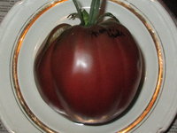 IMG_1663.jpg