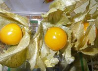 P1010002.JPG