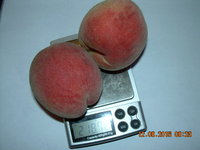 DSCN1333.JPG