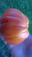 WP_20160811_005.jpg