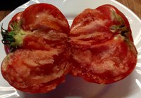 Африканская королева