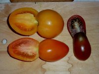 &quot;Дина&quot;, &quot;Золотое руно&quot;, &quot;Грушка консервированная&quot;