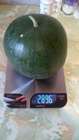 IMG_20160813_175405.jpg
